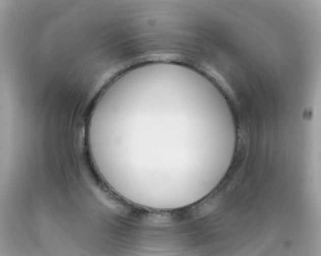 X0000089900110200707262259