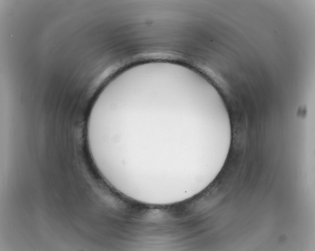 X0000089900111200707262259