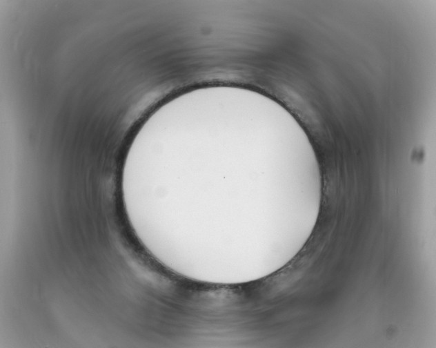 X0000089900112200707262259