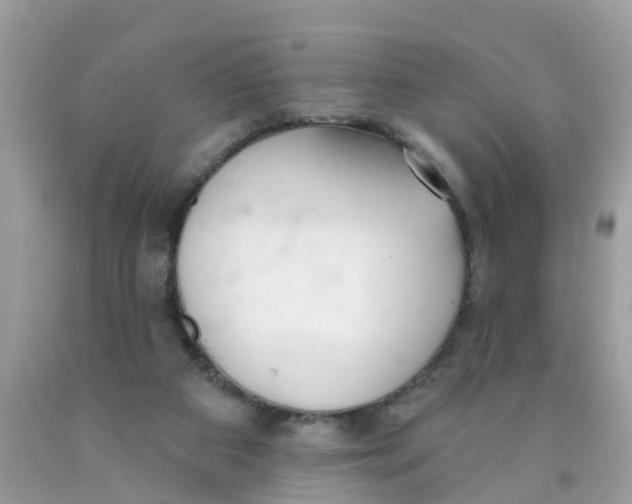 X0000089900113200707262259