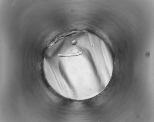 X0000089900114200707262259
