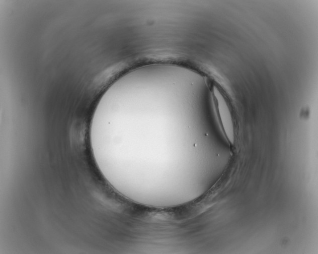 X0000089900115200707262259