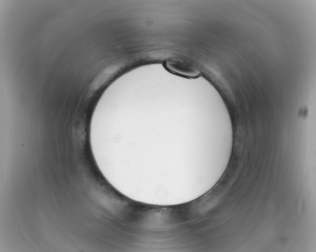 X0000089900116200707262259