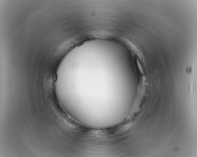 X0000089900117200707262259