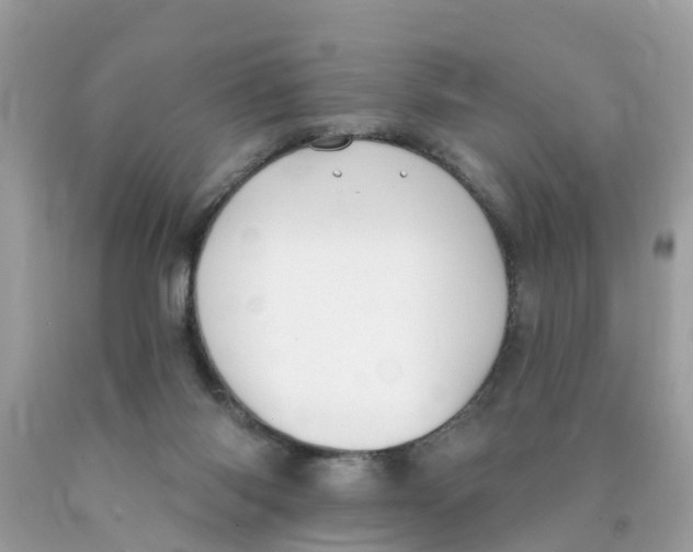 X0000089900118200707262259