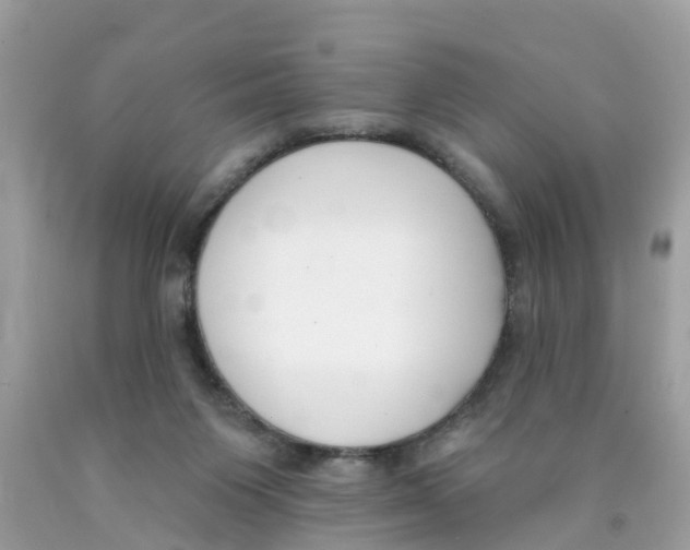 X0000089900119200707262259