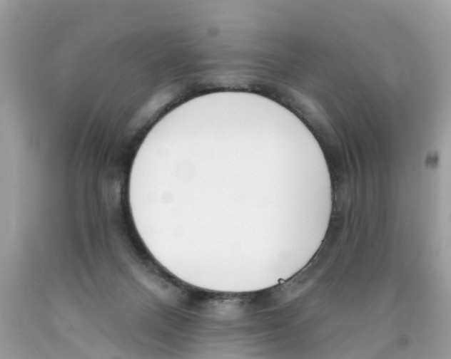 X0000089900120200707262259
