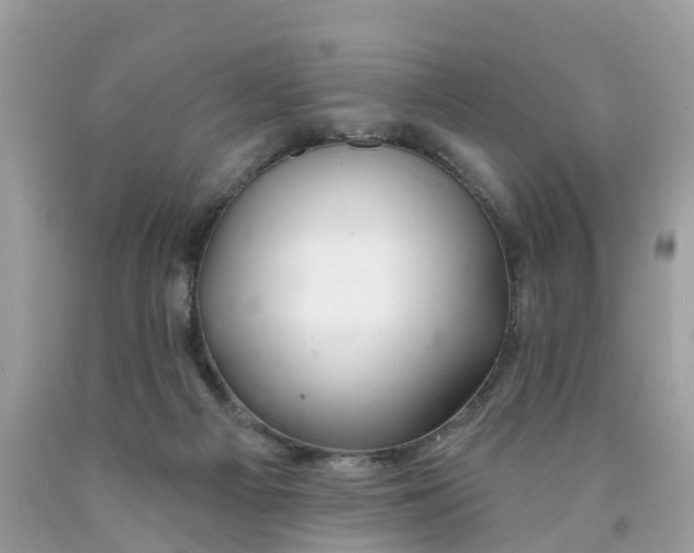 X0000089900121200707262259