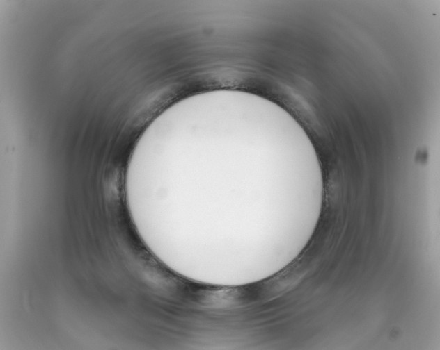 X0000089900122200707262259