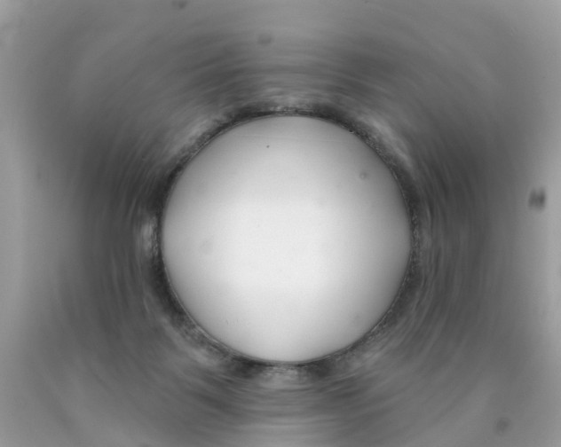 X0000089900123200707262259