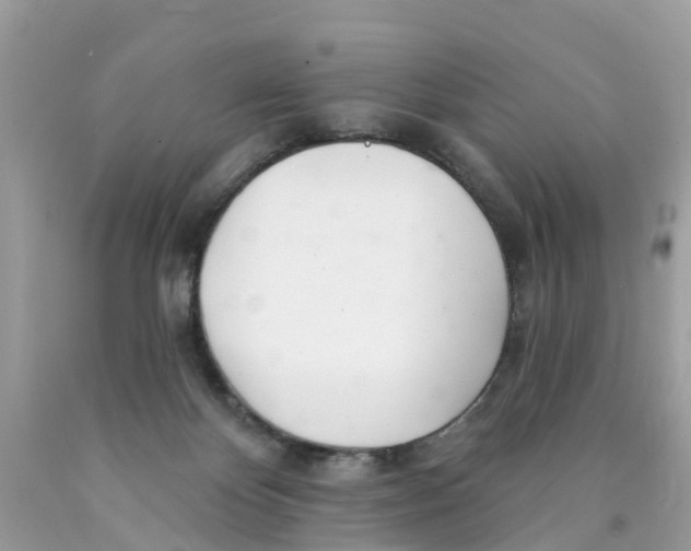 X0000089900124200707262259