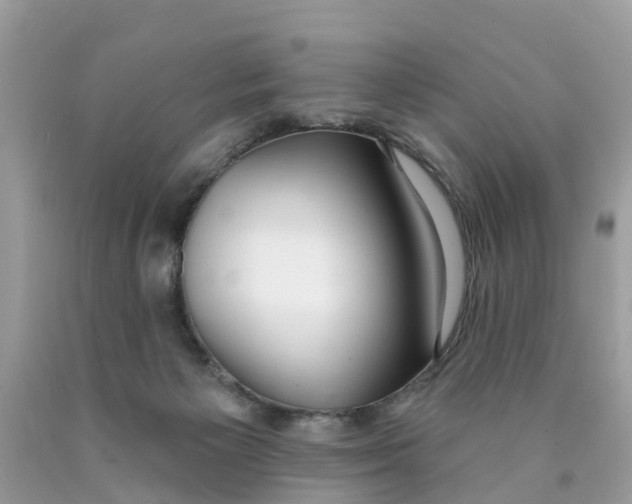 X0000089900125200707262259