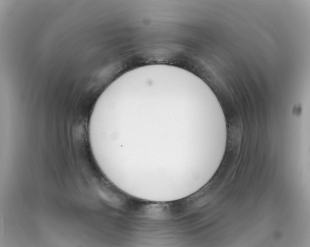 X0000089900126200707262259