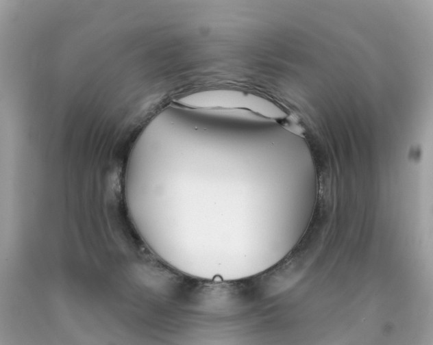 X0000089900127200707262259