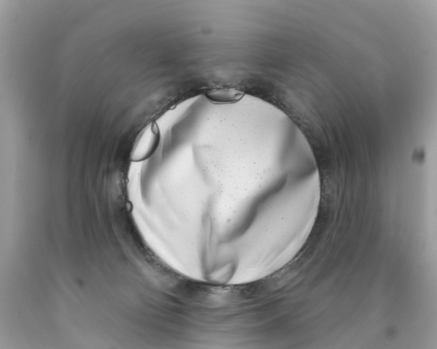 X0000089900130200707262259