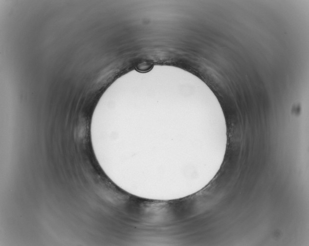 X0000089900132200707262259