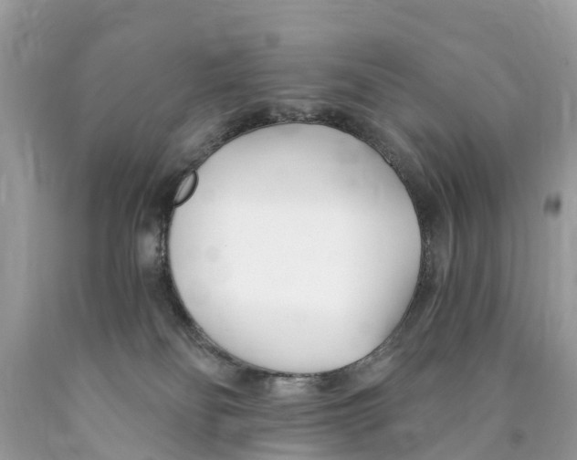 X0000089900134200707262259