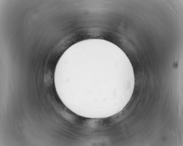 X0000089900136200707262259