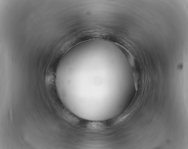 X0000089900137200707262259