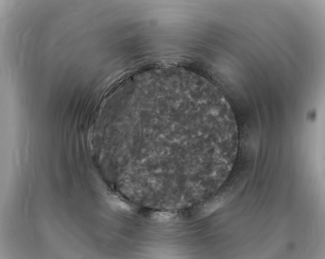 X0000089900139200707262259