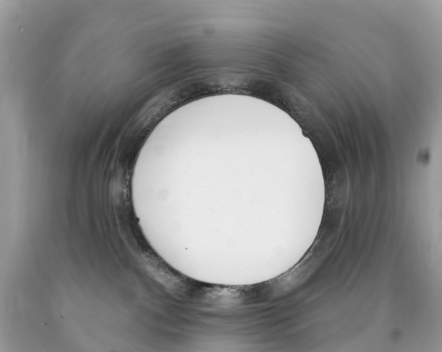 X0000089900140200707262259
