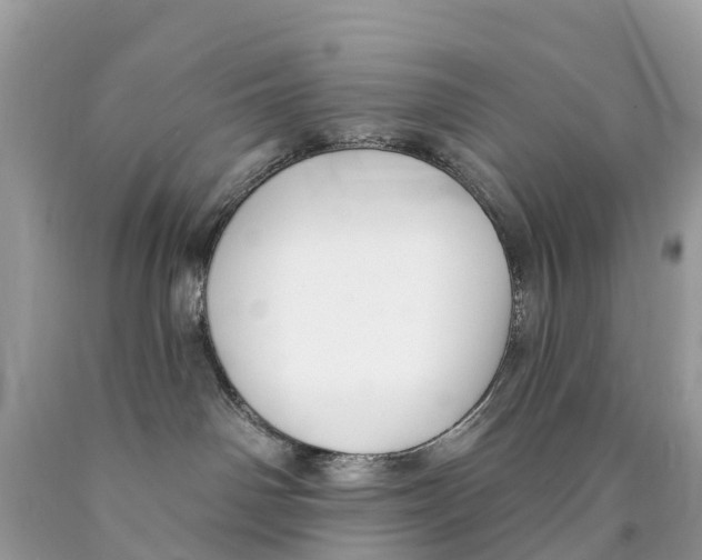 X0000089900142200707262259