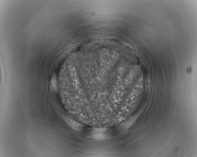 X0000089900143200707262259