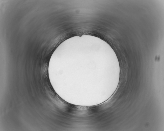 X0000089900144200707262259