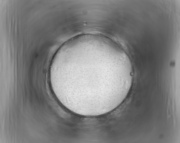 X0000089900145200707262258