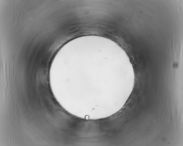 X0000089900146200707262258