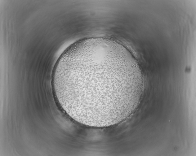 X0000089900147200707262258