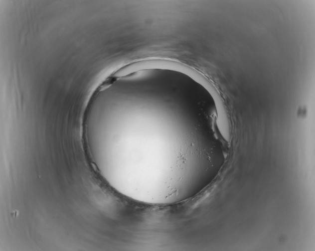 X0000089900148200707262258