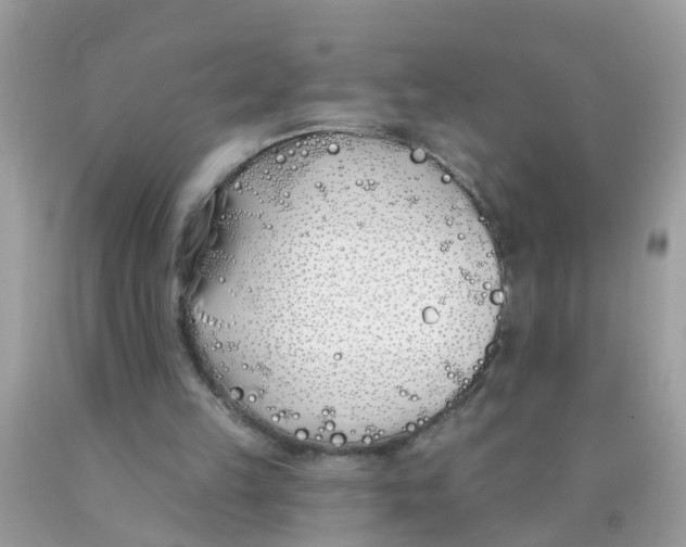 X0000089900149200707262258