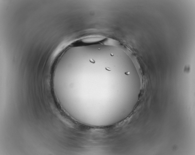 X0000089900150200707262258