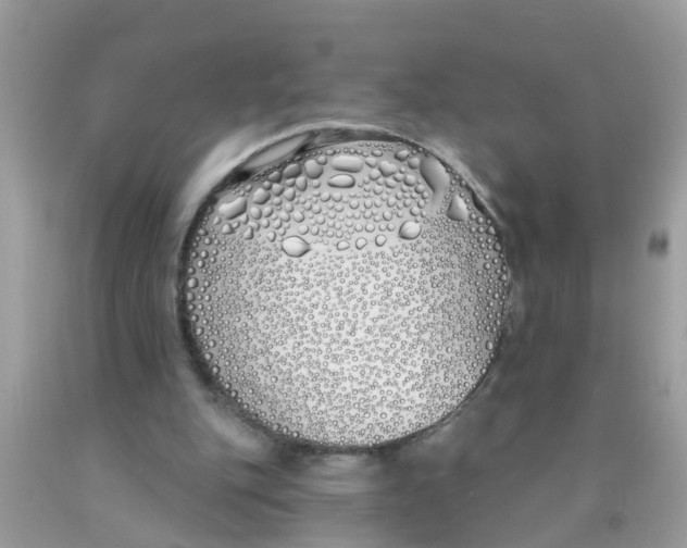 X0000089900151200707262258