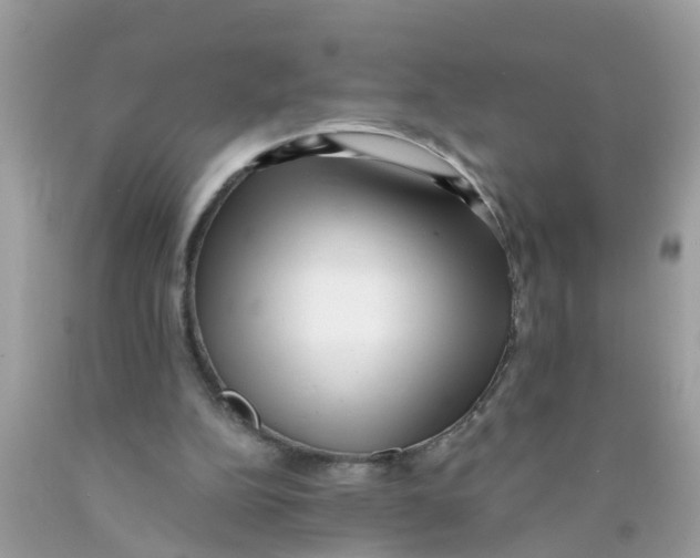 X0000089900152200707262258