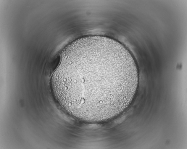 X0000089900153200707262258