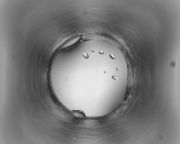 X0000089900154200707262258