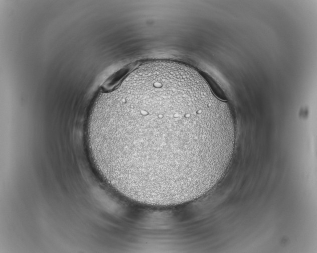 X0000089900155200707262258