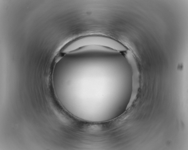 X0000089900156200707262258