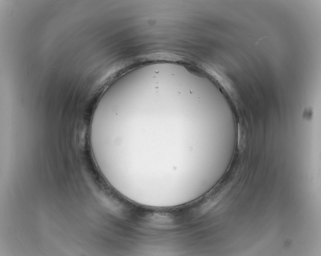 X0000089900157200707262258
