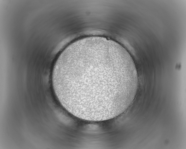 X0000089900159200707262258