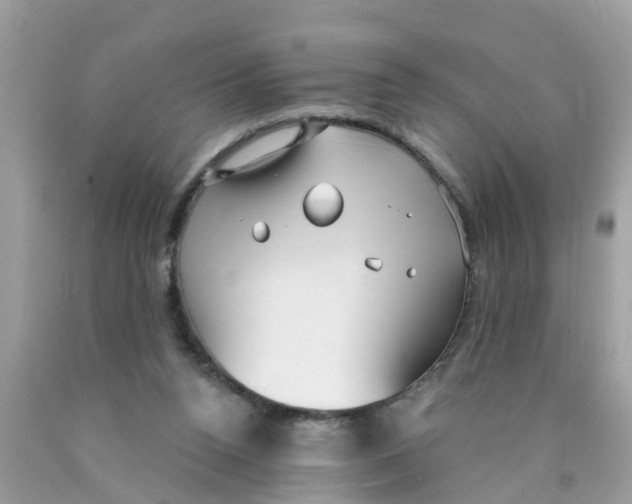 X0000089900160200707262258