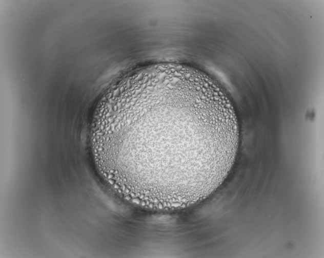 X0000089900161200707262258