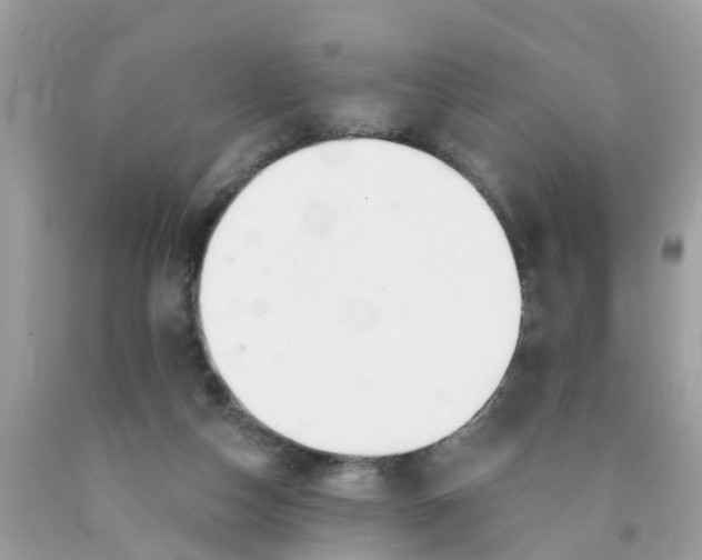 X0000089900162200707262259