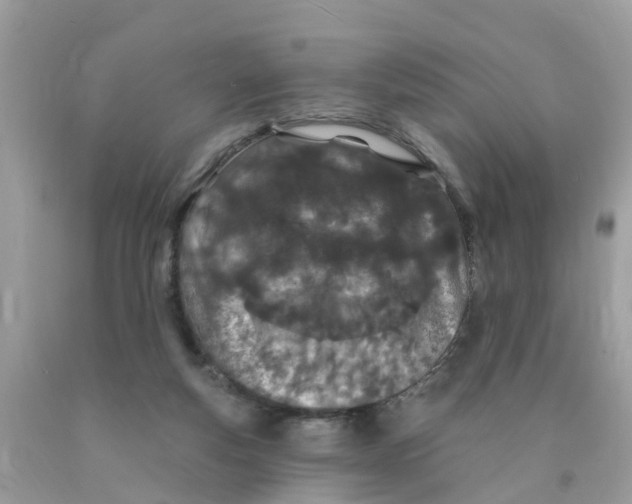 X0000089900163200707262259