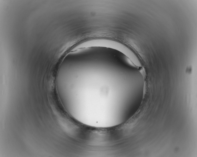 X0000089900164200707262259