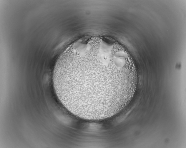 X0000089900165200707262259