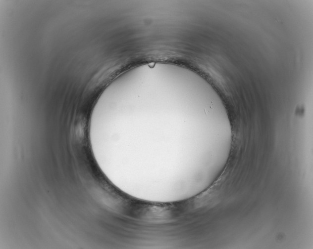 X0000089900166200707262259