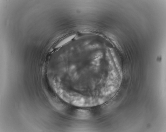 X0000089900167200707262259